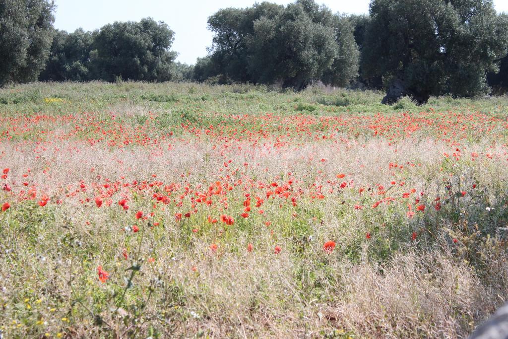 Masseria Valente Остуни Экстерьер фото