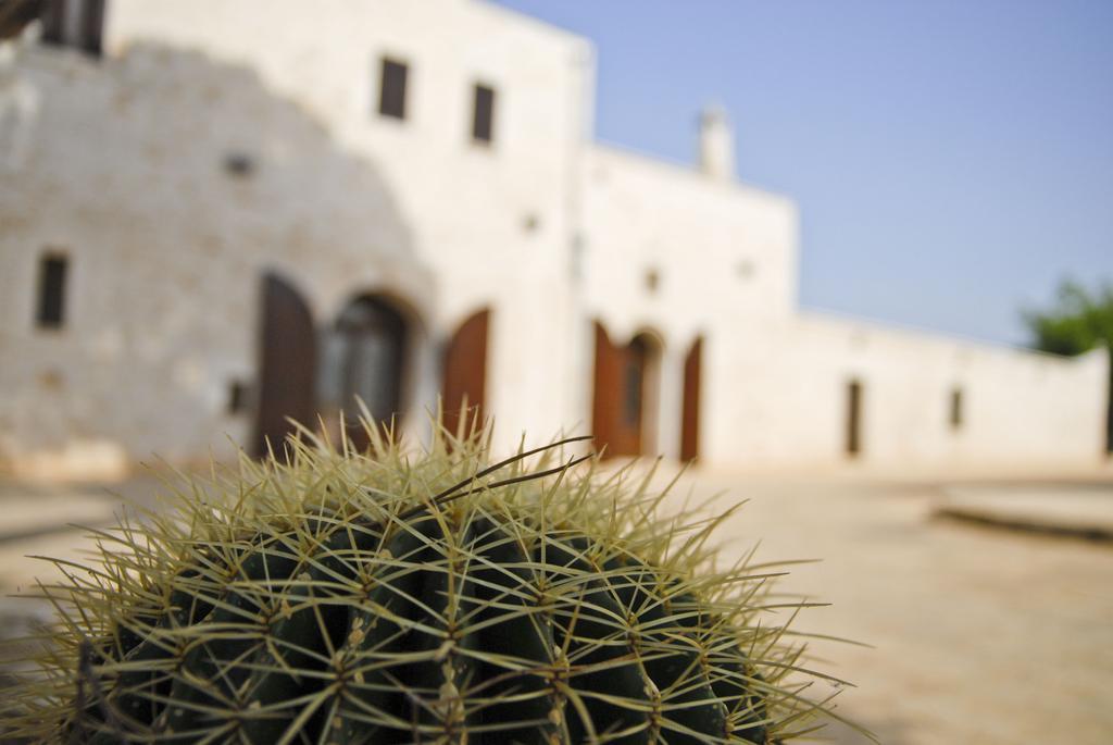 Masseria Valente Остуни Номер фото